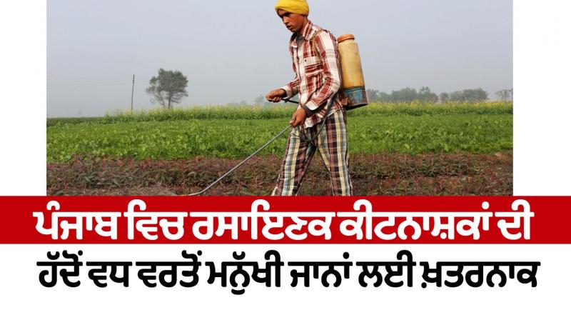 Excessive use of chemical pesticides in Punjab is dangerous for human lives Editorial Excessive use of chemical pesticides in Punjab is dangerous for human lives Editorial