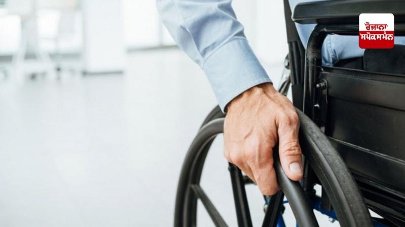 Stop using words like disabled or disabled in Punjab offices Stop using words like disabled or disabled in Punjab offices