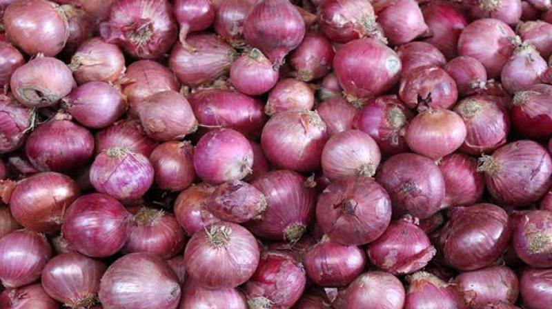 Onion prices will soon come down 200 tonnes of onions from abroad reach india Onion prices will soon come down 200 tonnes of onions from abroad reach india