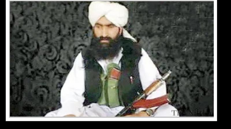 UN calls on TTP Chief Noor Wali Mehsud declared a global terrorist UN calls on TTP Chief Noor Wali Mehsud declared a global terrorist