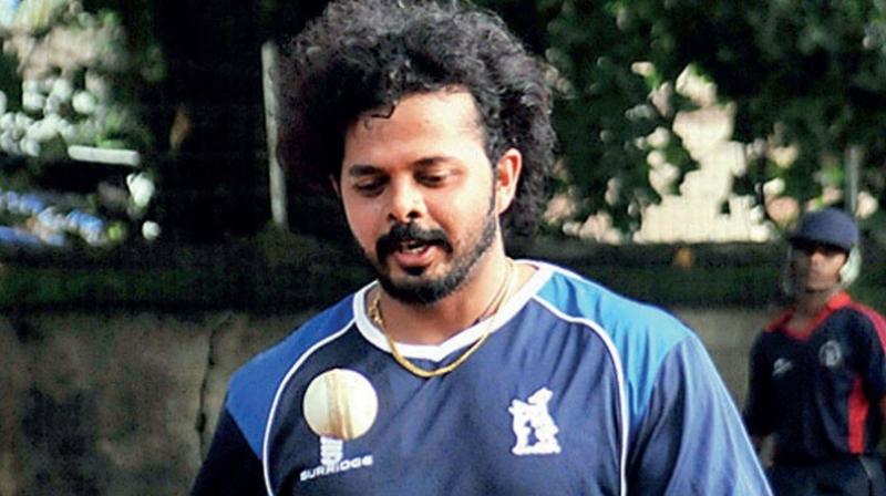 Cricketer Sreesanth Cricketer Sreesanth