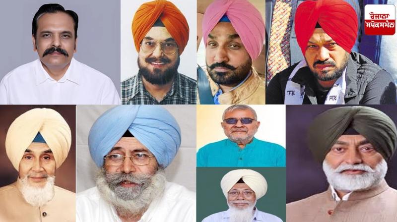 AAP Punjab Leader