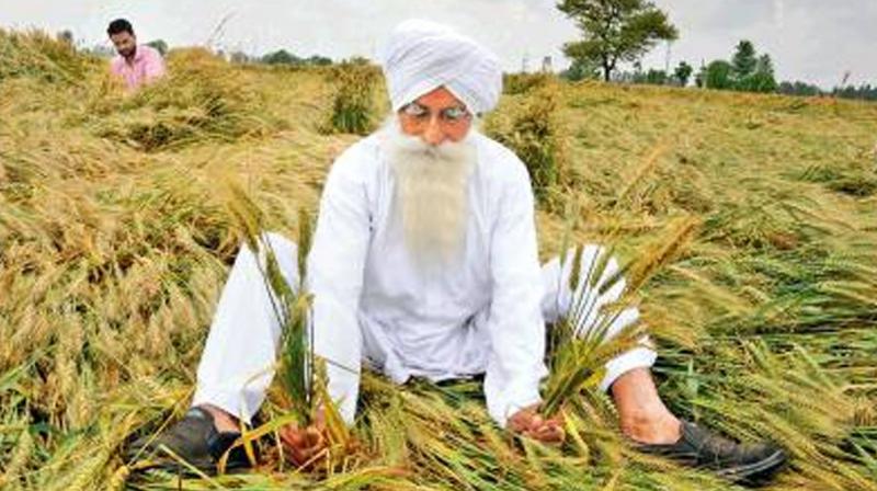 Kissan Kissan