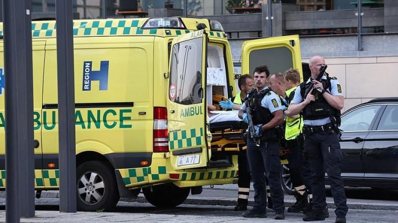 Deadly shooting at Copenhagen shopping mall and 3 killed Deadly shooting at Copenhagen shopping mall and 3 killed
