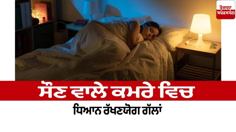 Things to keep in mind in the bedroom Household Things News in punjabi Things to keep in mind in the bedroom Household Things News in punjabi