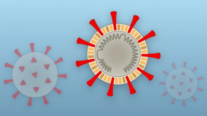 coronavirus