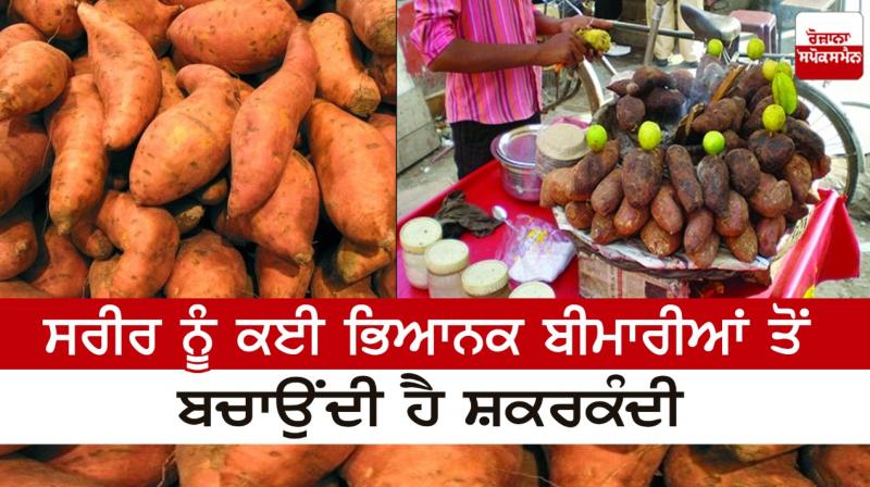 Sweet potato protects the body from many terrible diseases