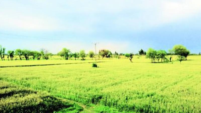 Order to name the ownership of the land in the Gram Panchayats Order to name the ownership of the land in the Gram Panchayats
