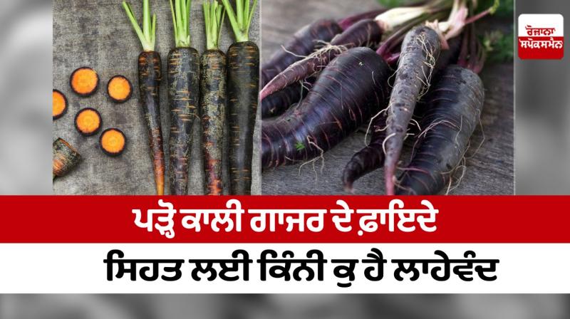 Black carrot Black carrot