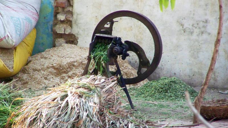 Chaff Cutter