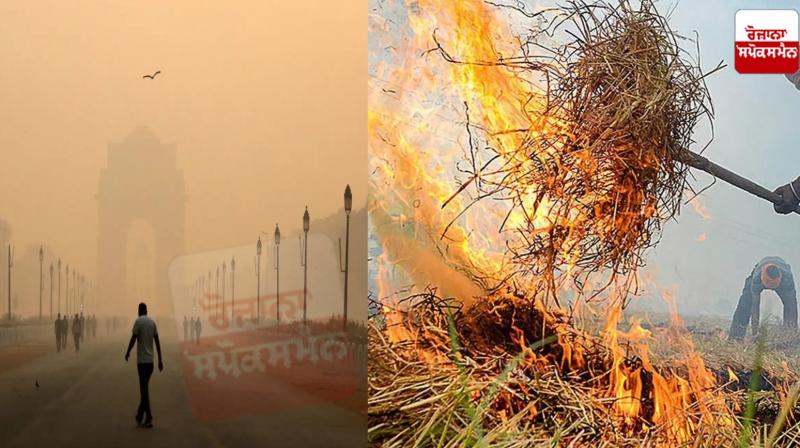 The straw burnt in Punjab is not responsible for Delhi's pollution news in punjabi The straw burnt in Punjab is not responsible for Delhi's pollution news in punjabi