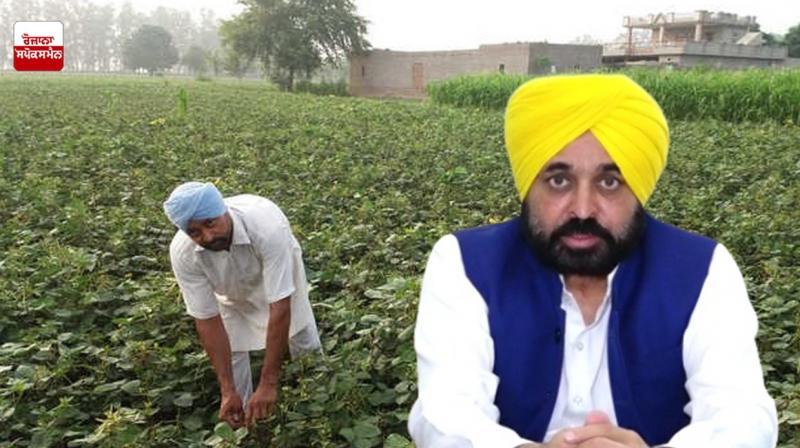 Punjab CM Bhagwant Mann Punjab CM Bhagwant Mann