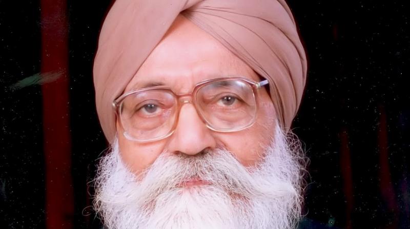 Professor Pritam Singh