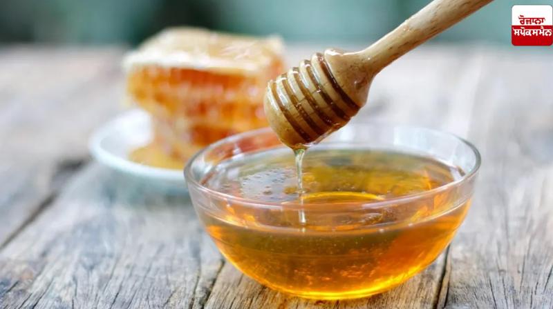 Honey is very beneficial for women Health News