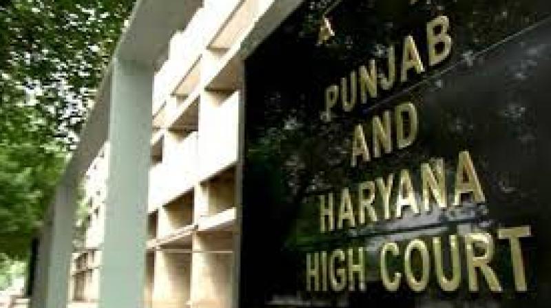 Punjab and Haryana High Court Punjab and Haryana High Court