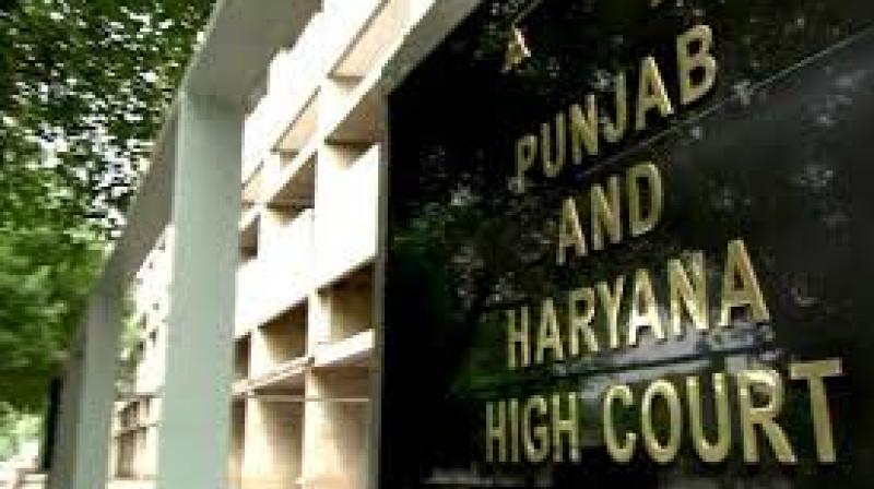 Punjab and Haryana High Court