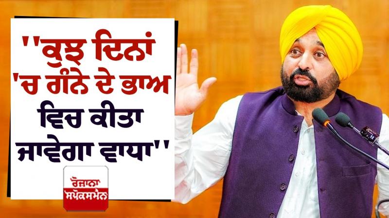 Punjab CM Bhagwant Mann big decision for sugarcane farmers Punjab CM Bhagwant Mann big decision for sugarcane farmers