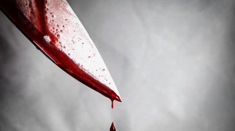 murder murder