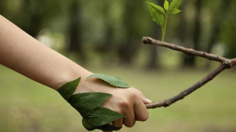 HELP TO SAVE ENVIRONMENT HELP TO SAVE ENVIRONMENT