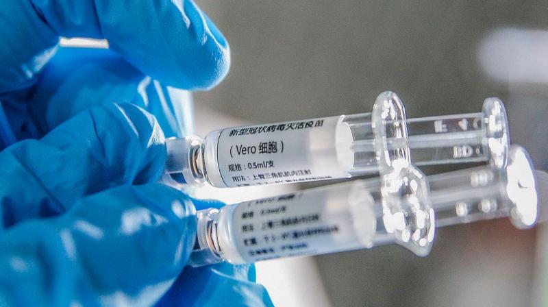 Corona virus Corona virus