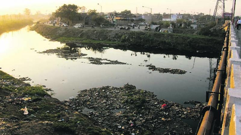 Dirty Drain of Ludhiana Dirty Drain of Ludhiana