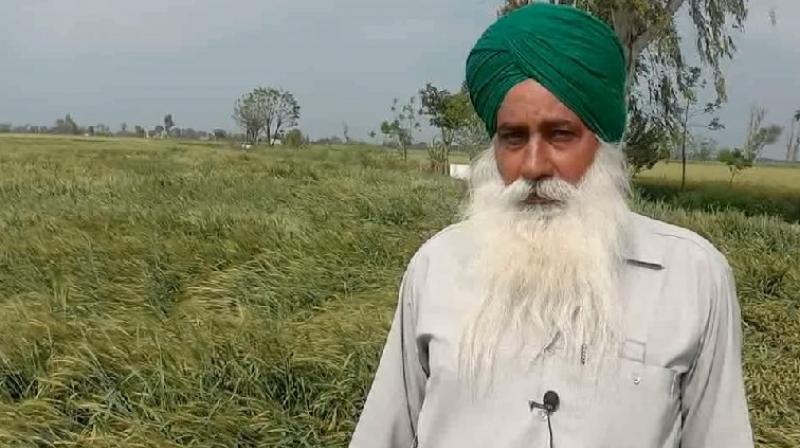 Kissan Kissan