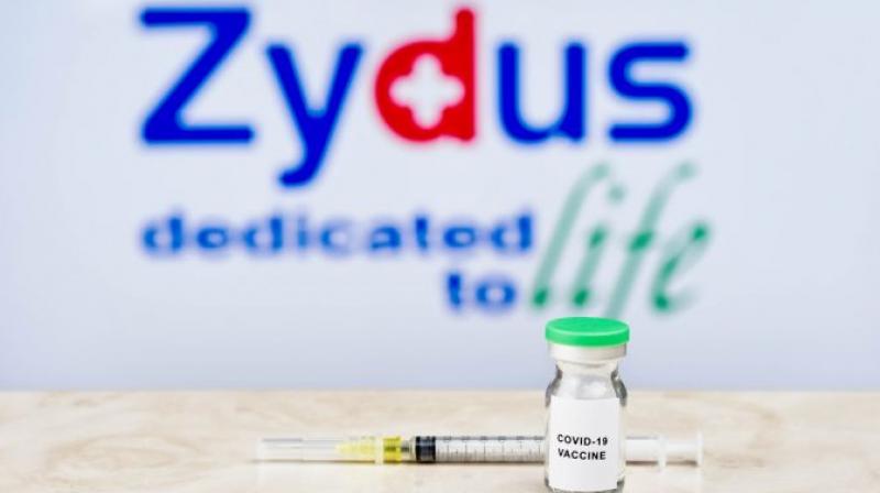 Expert panel recommends EUA for Zydus' three-dose Covid vaccine: Report Expert panel recommends EUA for Zydus' three-dose Covid vaccine: Report