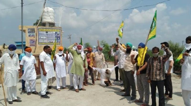 Farmer Protest Farmer Protest