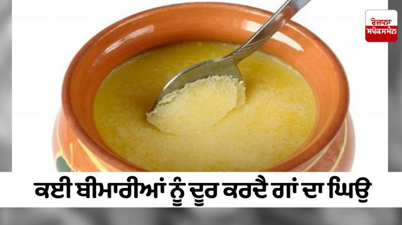 Cow ghee cures many diseases