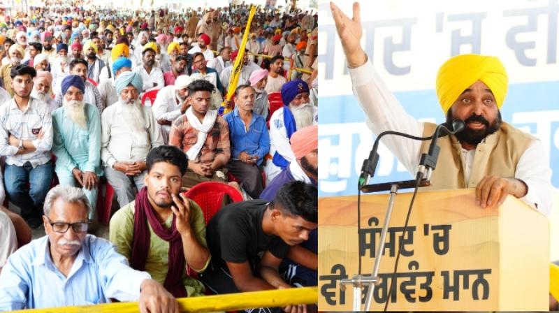 CM Bhagwant Mann CM Bhagwant Mann