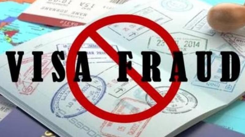 Visa Fraud 