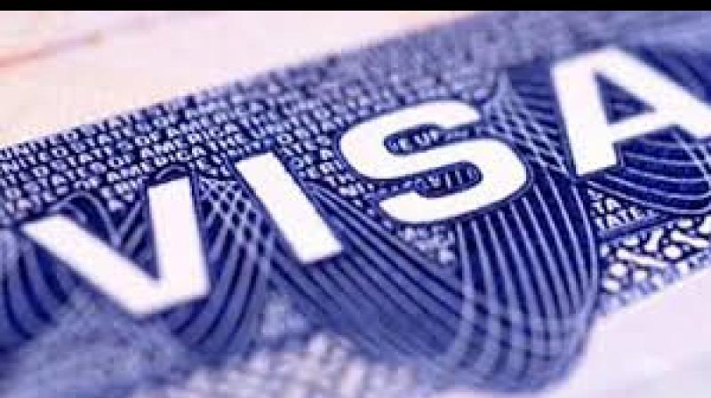 Visa Applicants Social Media Information