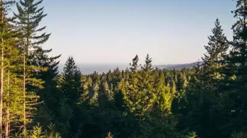 Amazing offbeat destination the pabbar valley Amazing offbeat destination the pabbar valley