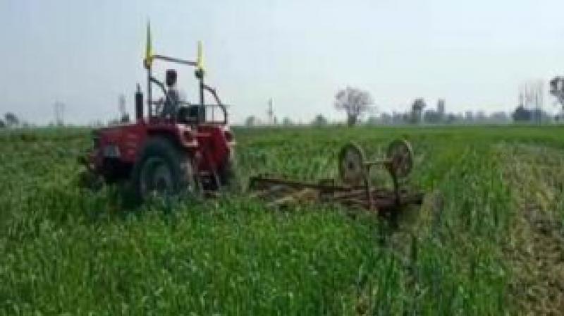 Farmers Protest