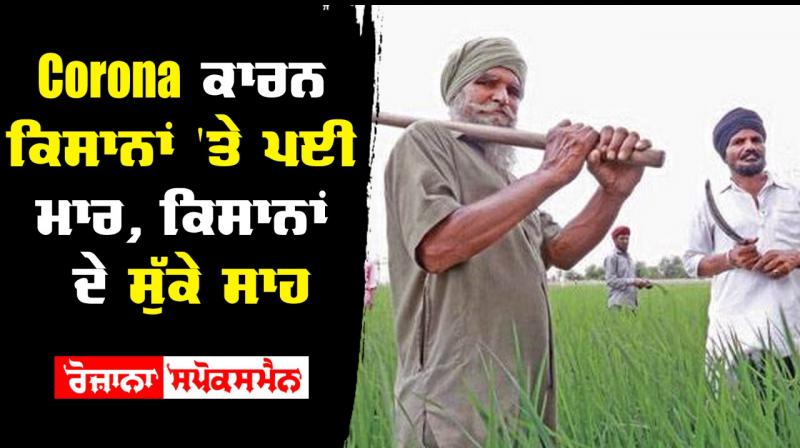 Corona crises effected farmers price declined of crops Corona crises effected farmers price declined of crops