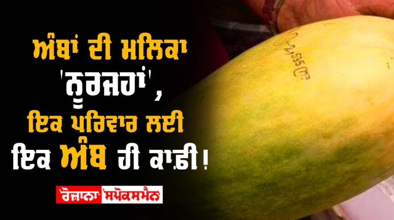 Noorjahan mango Noorjahan mango