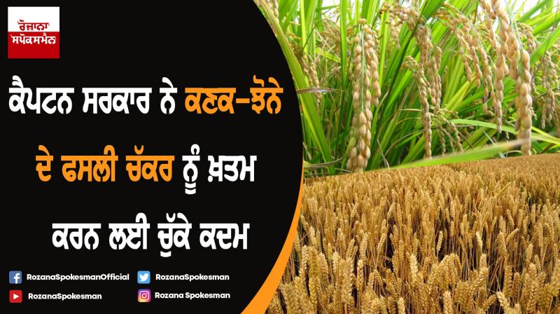 CM Captain Amarinder Singh formulation of comprehensive crop diversification model