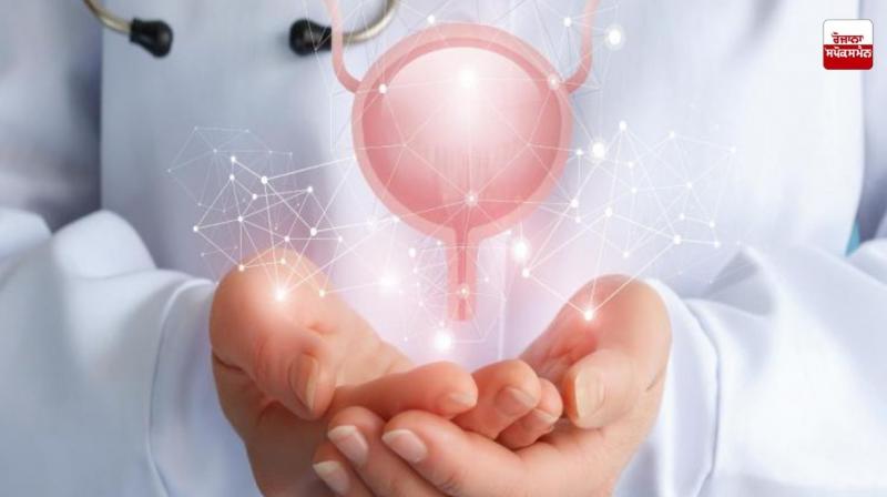 What is Prostate Cancer News in punjabi What is Prostate Cancer News in punjabi