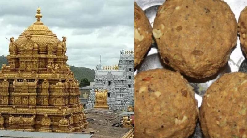 ,Sri Venkateswara temple in Tirupati ,Sri Venkateswara temple in Tirupati