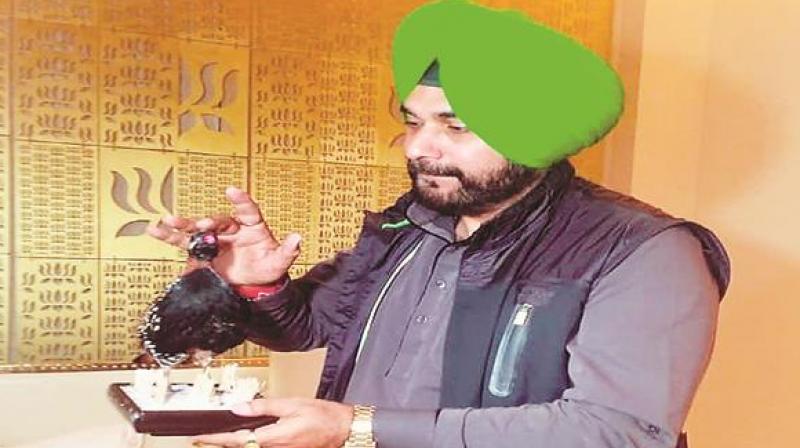 ਸਿੱਧੂ ਦਾ ਕਾਲਾ ਤਿੱਤਰ ਸਿੱਧੂ ਦਾ ਕਾਲਾ ਤਿੱਤਰ