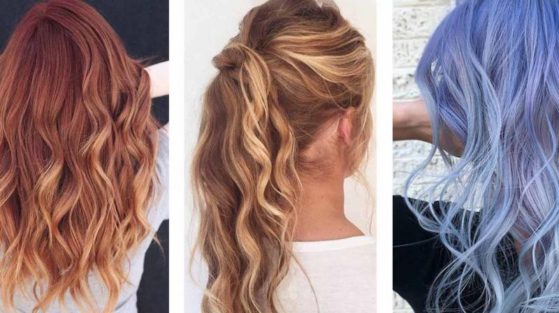 Hair Color Hair Color