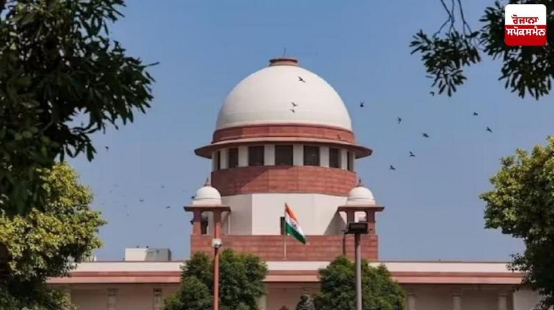 Love is not a crime: Supreme Court