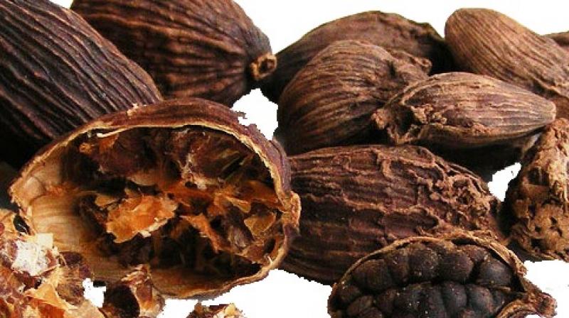 black cardamom black cardamom