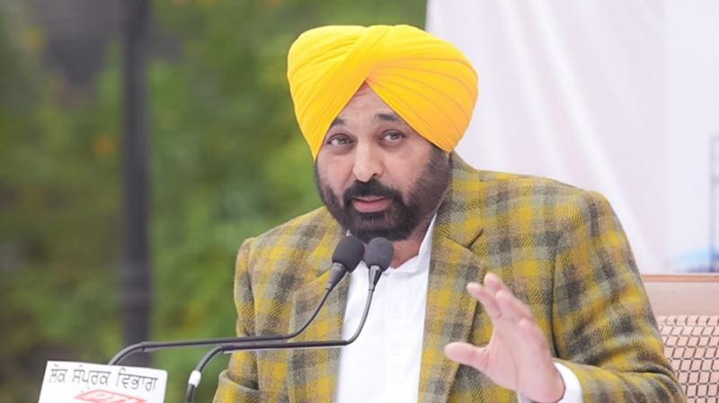 Bhagwant Mann targeted bikram Majithia on Arrest of Langah's son News in punjabi Bhagwant Mann targeted bikram Majithia on Arrest of Langah's son News in punjabi