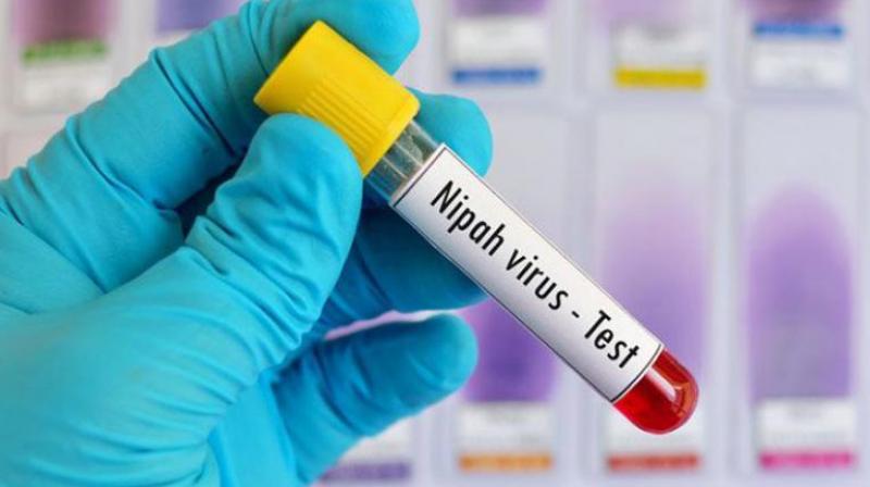 Kerala fights Nipah virus again Kerala fights Nipah virus again