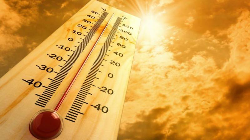 Punjab Weather Update News in punjabi Punjab Weather Update News in punjabi
