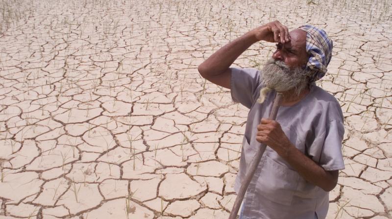 The drying up lands of Punjab
