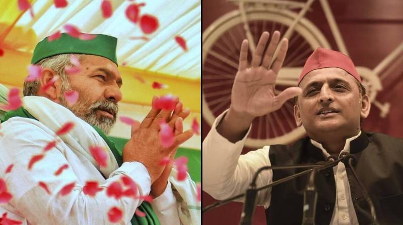 Rakesh Tikait, Akhilesh Yadav Rakesh Tikait, Akhilesh Yadav