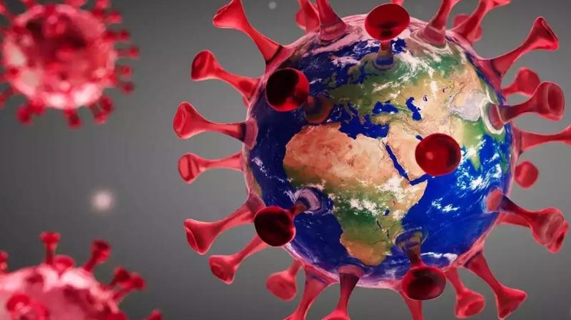 Corona Virus Corona Virus