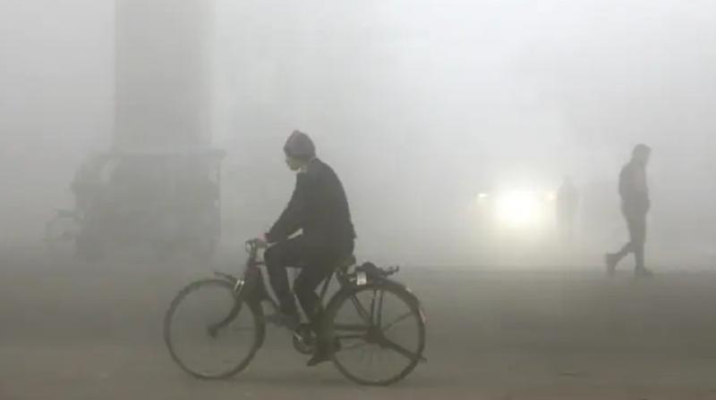 Many parts of Haryana-Punjab covered in fog Many parts of Haryana-Punjab covered in fog